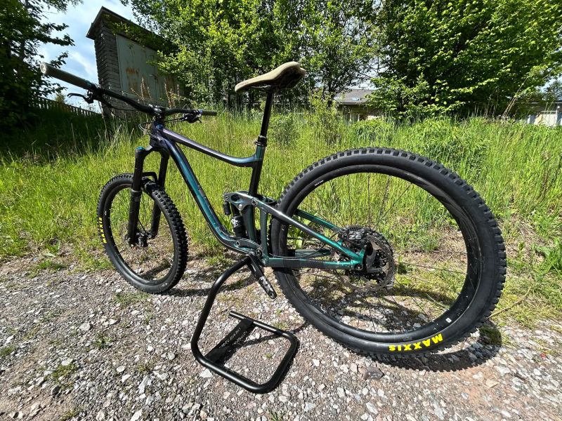 Giant Regin SX