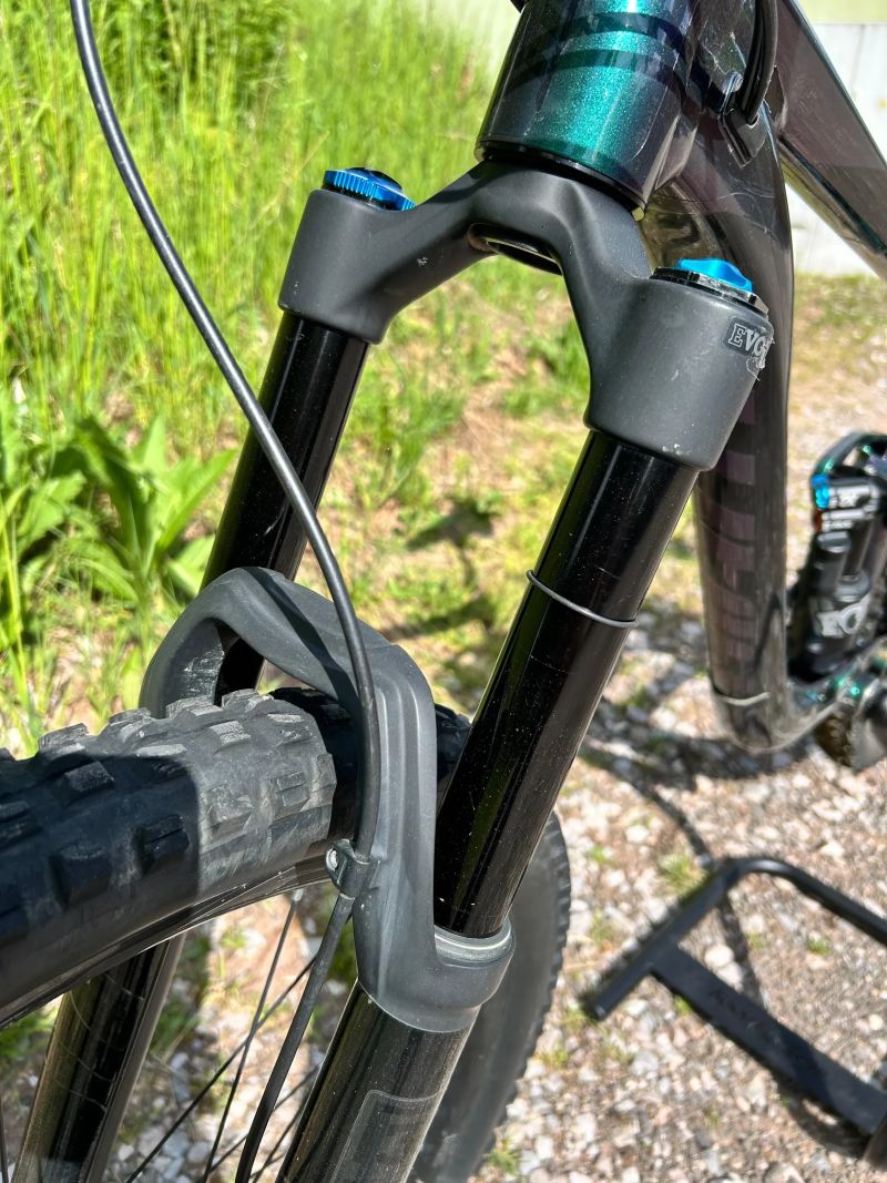 Giant Regin SX