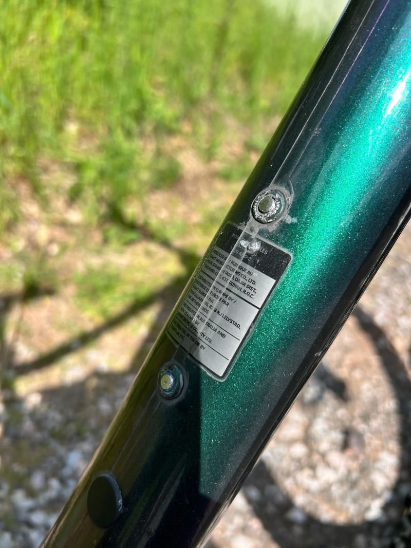 Giant Regin SX
