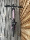 Rascal 20