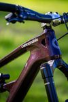 Cannondale Habit Custom 160/150 2025