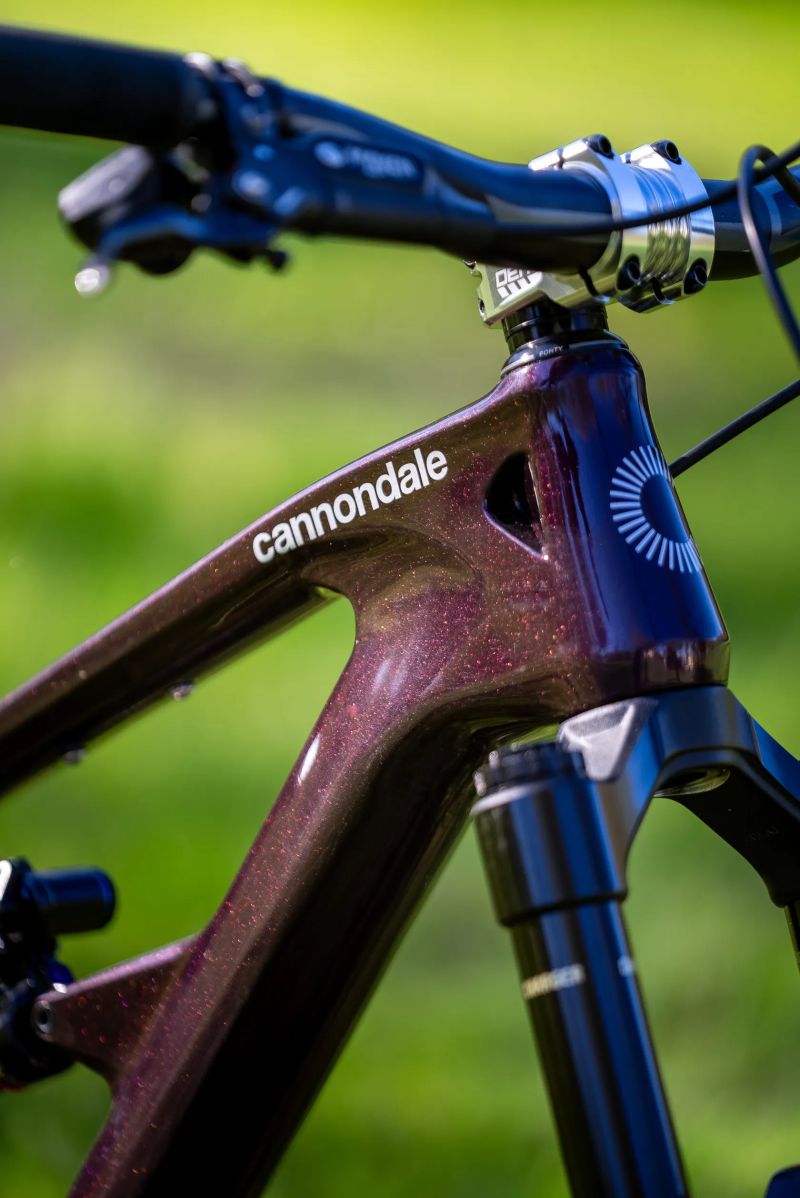 Cannondale Habit Custom 160/150 2025