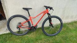 Specialized Jett