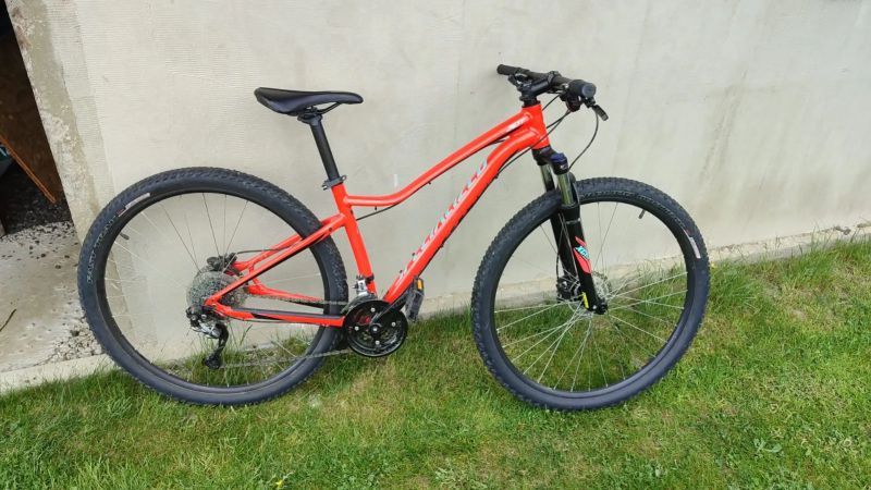 Specialized Jett