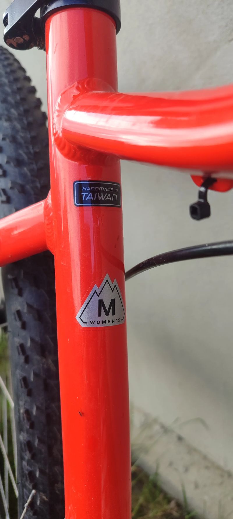 Specialized Jett