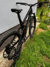 Trek Remedy XL mullet 