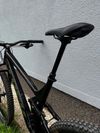 Trek Remedy XL mullet 
