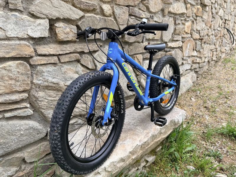 Cannondale Cujo ''20''