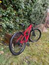 Specialized Rockhopper Comp