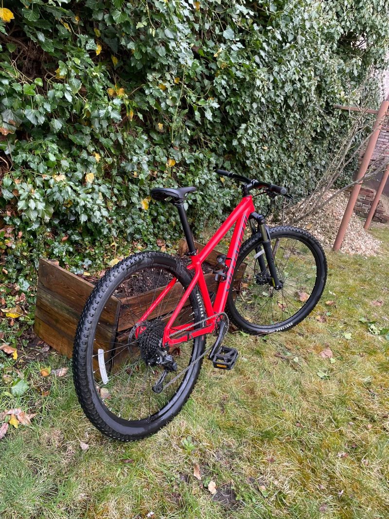 Specialized Rockhopper Comp