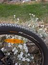 Scott Aspect 950