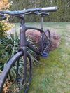 Trek FX5