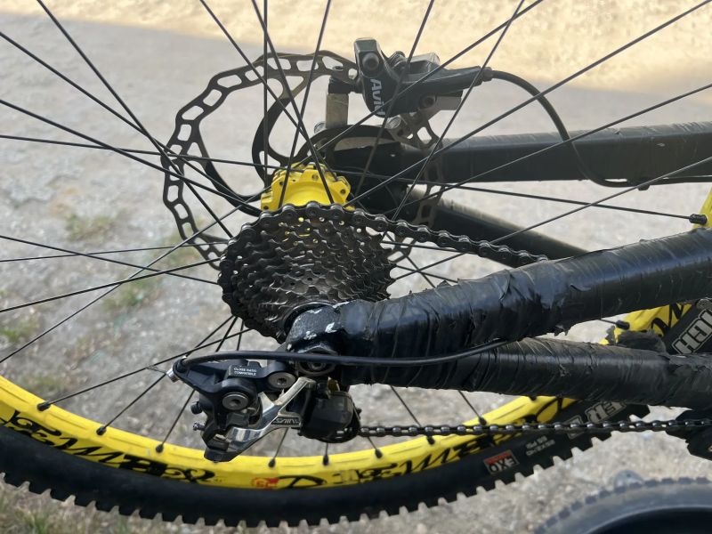 Santa Cruz V10