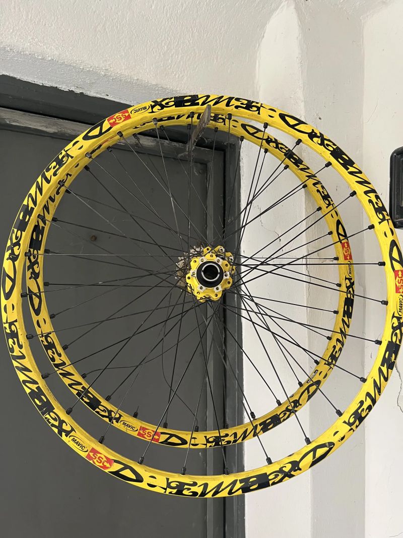 Santa Cruz V10