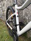Specialized Jynx
