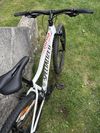 Specialized Jynx