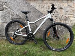 Specialized Jynx