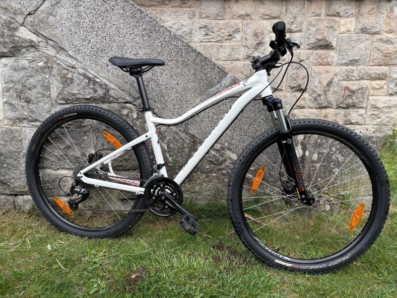 Specialized Jynx