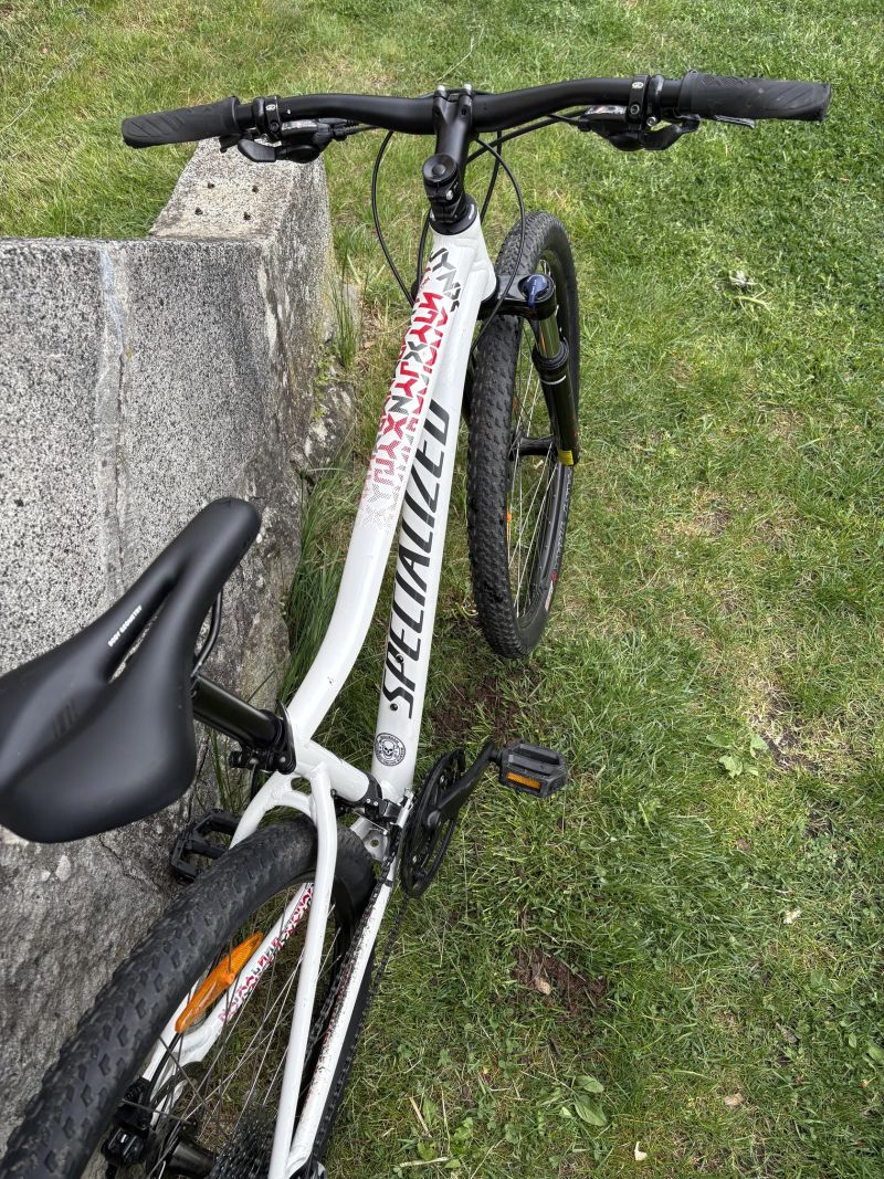 Specialized Jynx