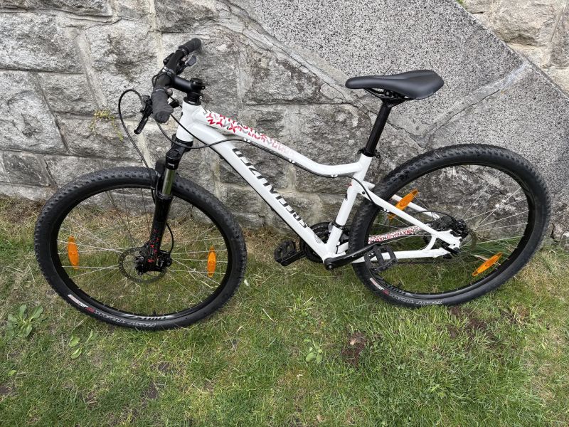 Specialized Jynx