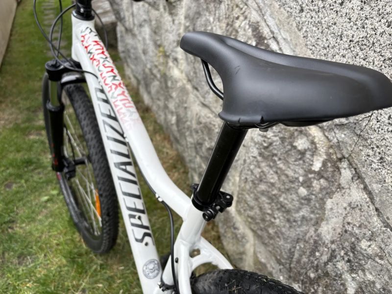 Specialized Jynx