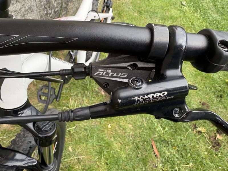 Specialized Jynx