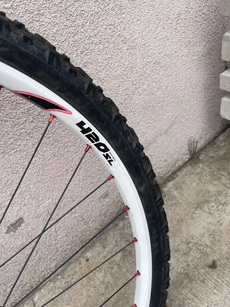 Specialized Epic