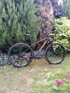 Specialized Epic HT Expert r. 2024 vel. M