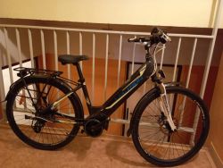 Lectron citana mx