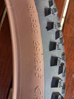 Schwalbe