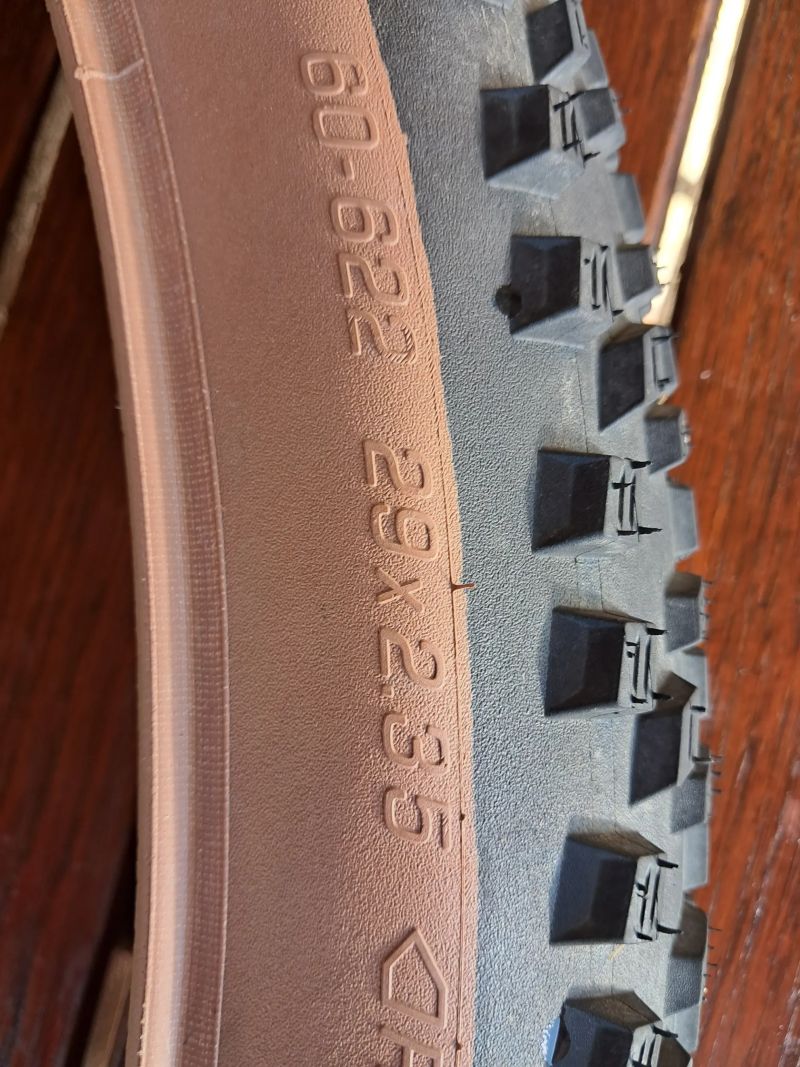 Schwalbe