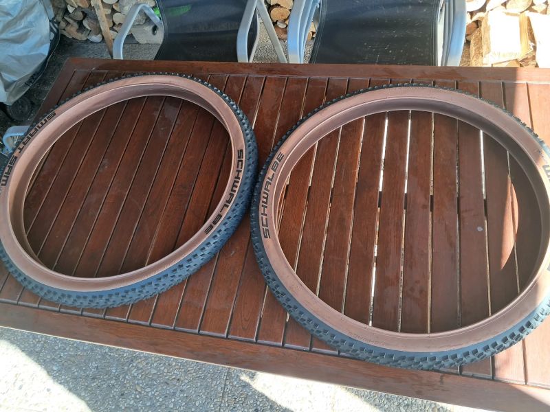 Schwalbe