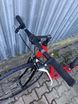 Ketam koloběžka velká