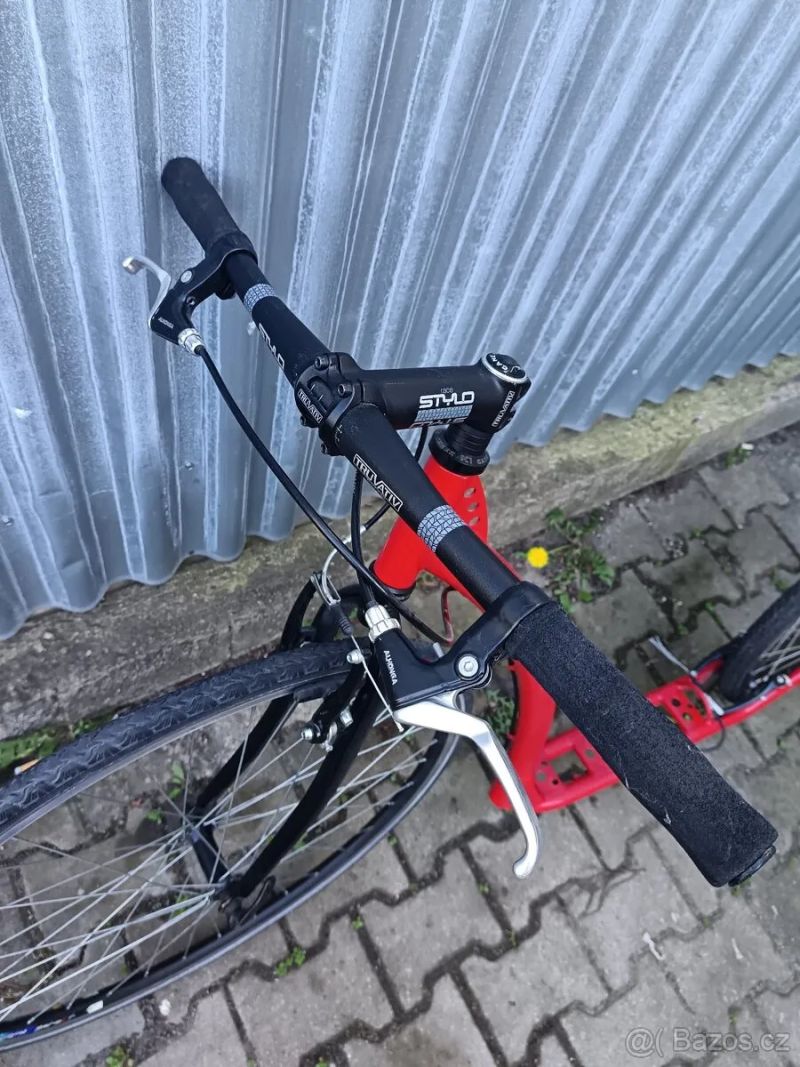 Ketam koloběžka velká