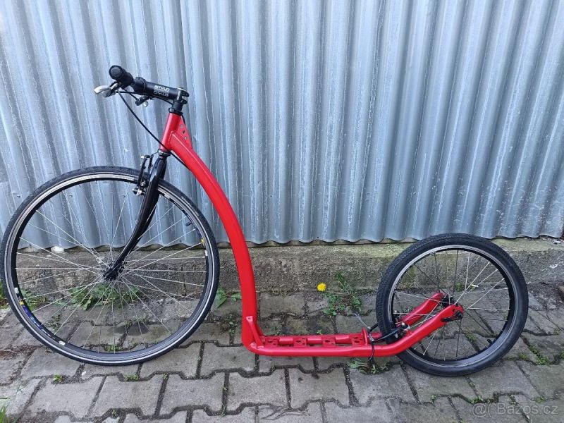 Ketam koloběžka velká