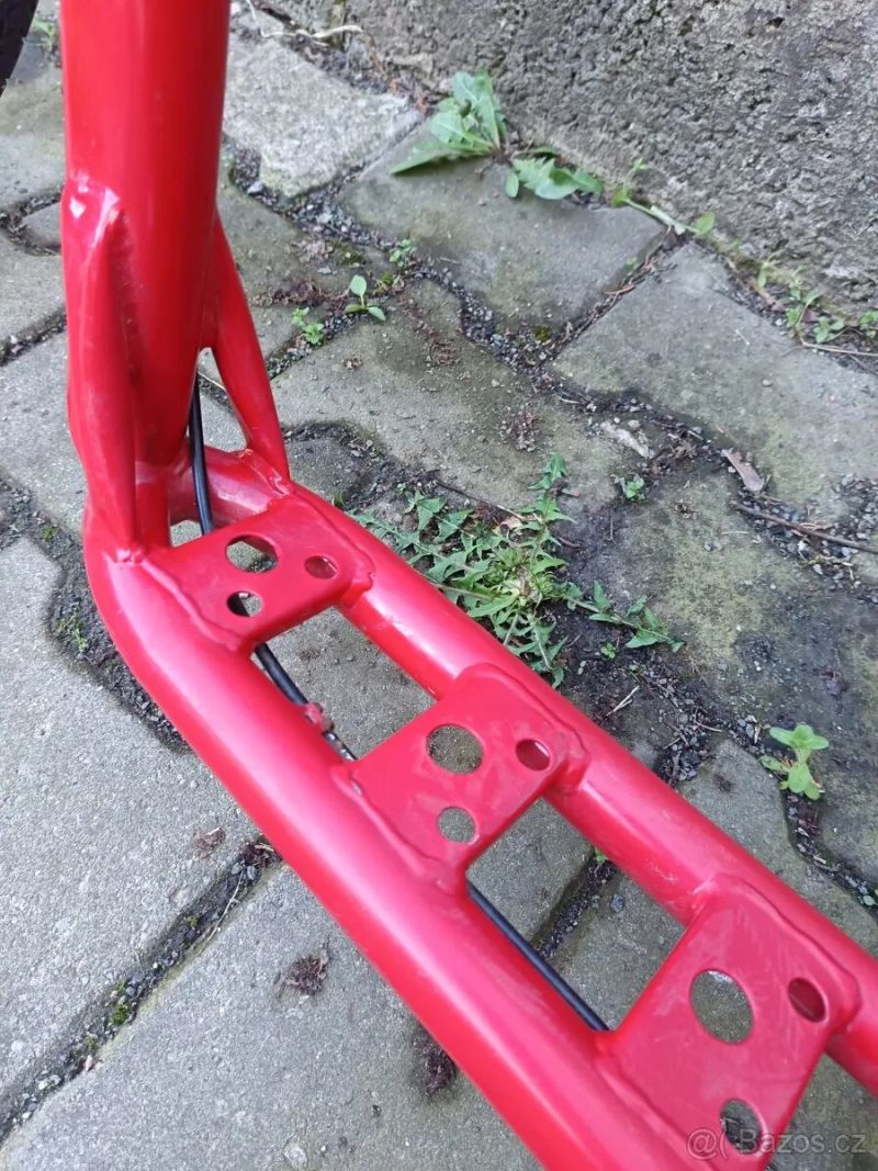 Ketam koloběžka velká