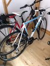 Genesis Corsa comp