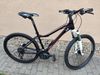 Giant Revel 26