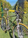 Morati HC1.3