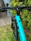 Trek Marlin 6 velikost S Miami Green/Royal