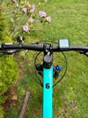 Trek Marlin 6 velikost S Miami Green/Royal