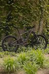 Specialized Enduro Expert 29/27.5
