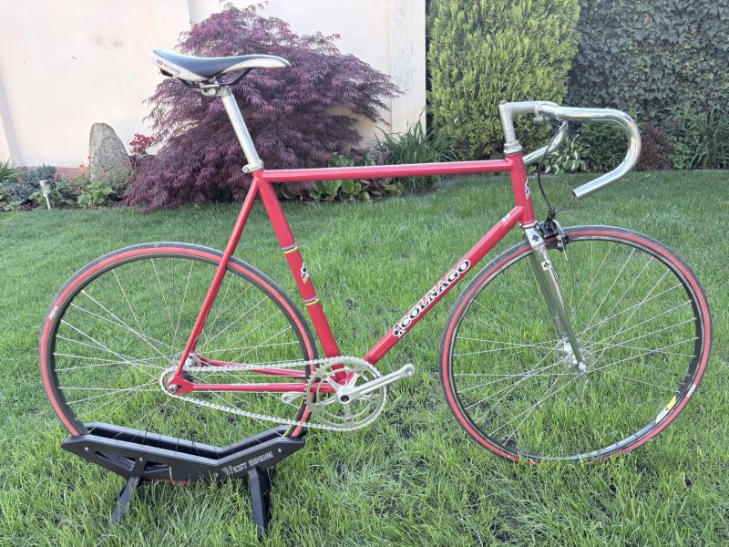 Colnago Dráhový speciál
