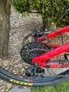 Trek Remedy 9