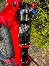 Trek Remedy 9