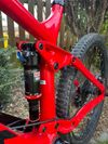 Trek Remedy 9