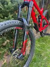 Trek Remedy 9