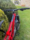 Trek Remedy 9