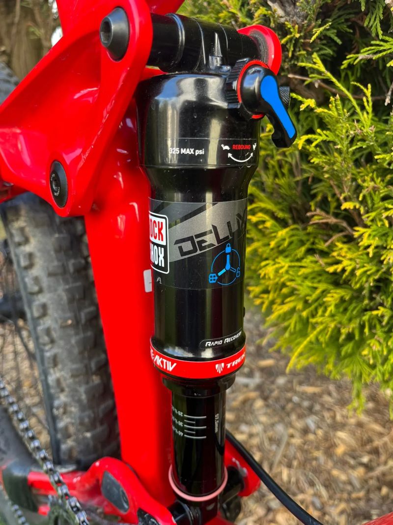Trek Remedy 9