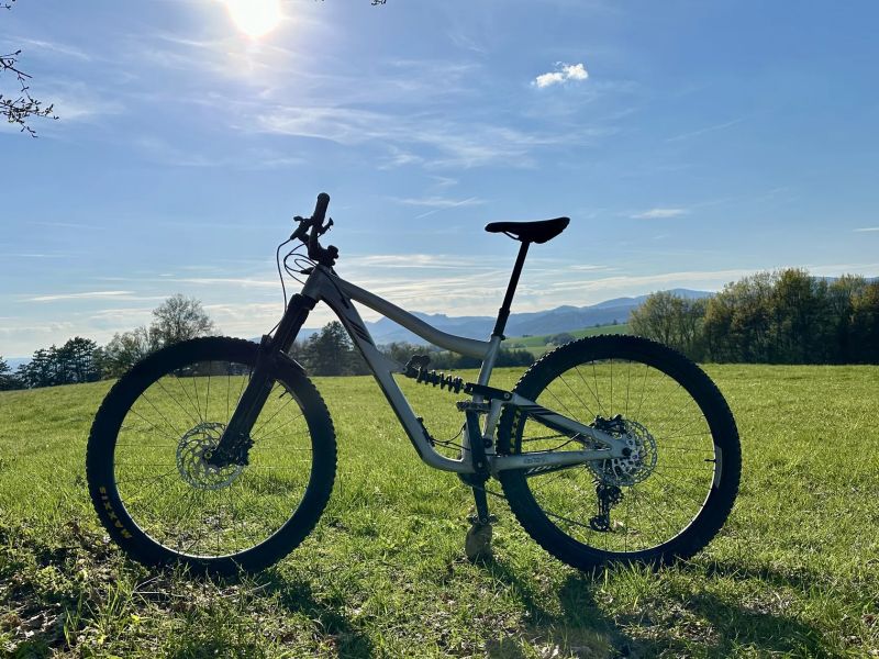 Ibis Ripmo AF